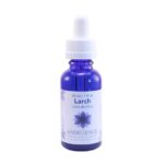 LARCH - ESENCIA FLORAL