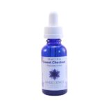 SWEET CHESTNUT - ESENCIA FLORAL