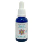GUAYABA - ESENCIA FLORAL