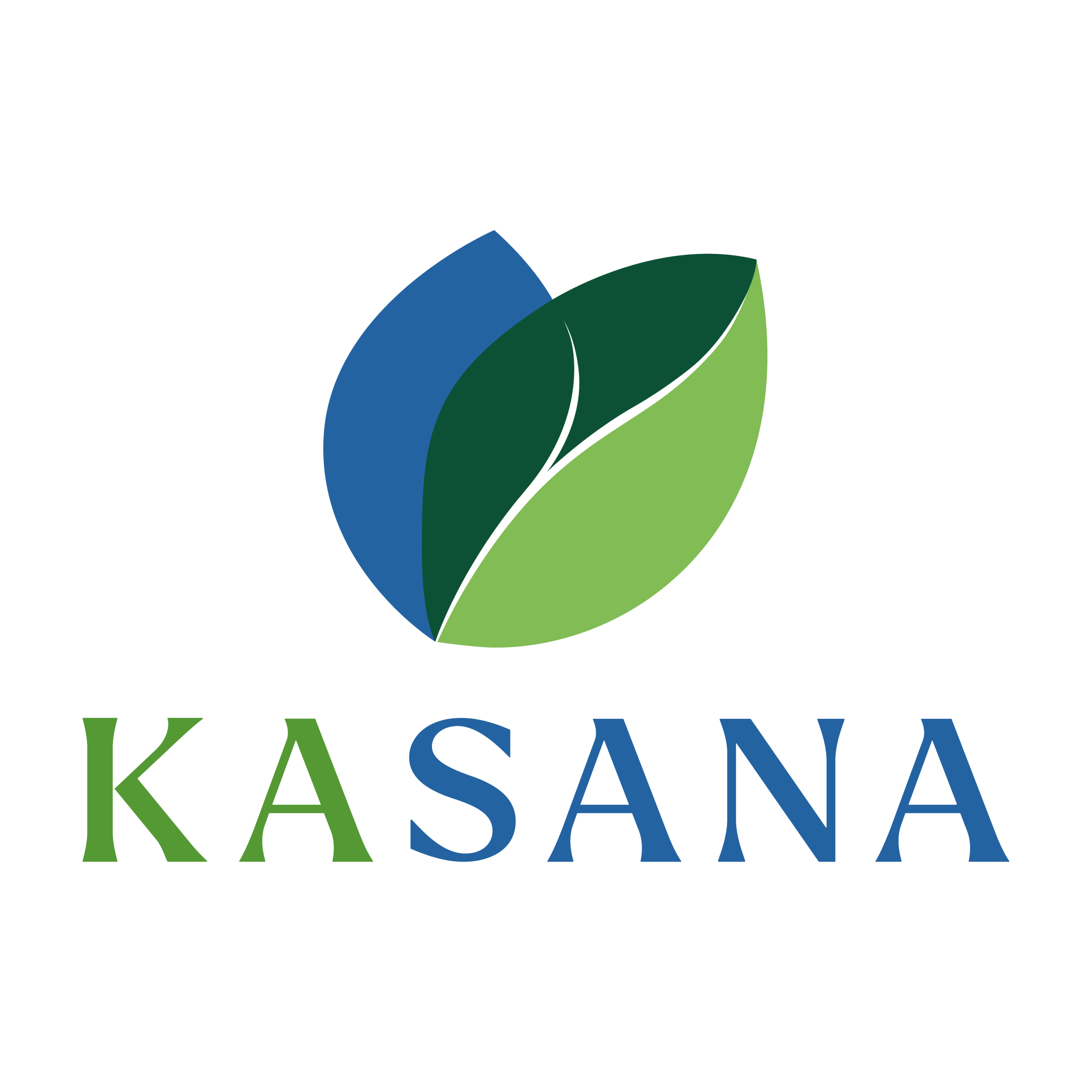 Kasanacorp
