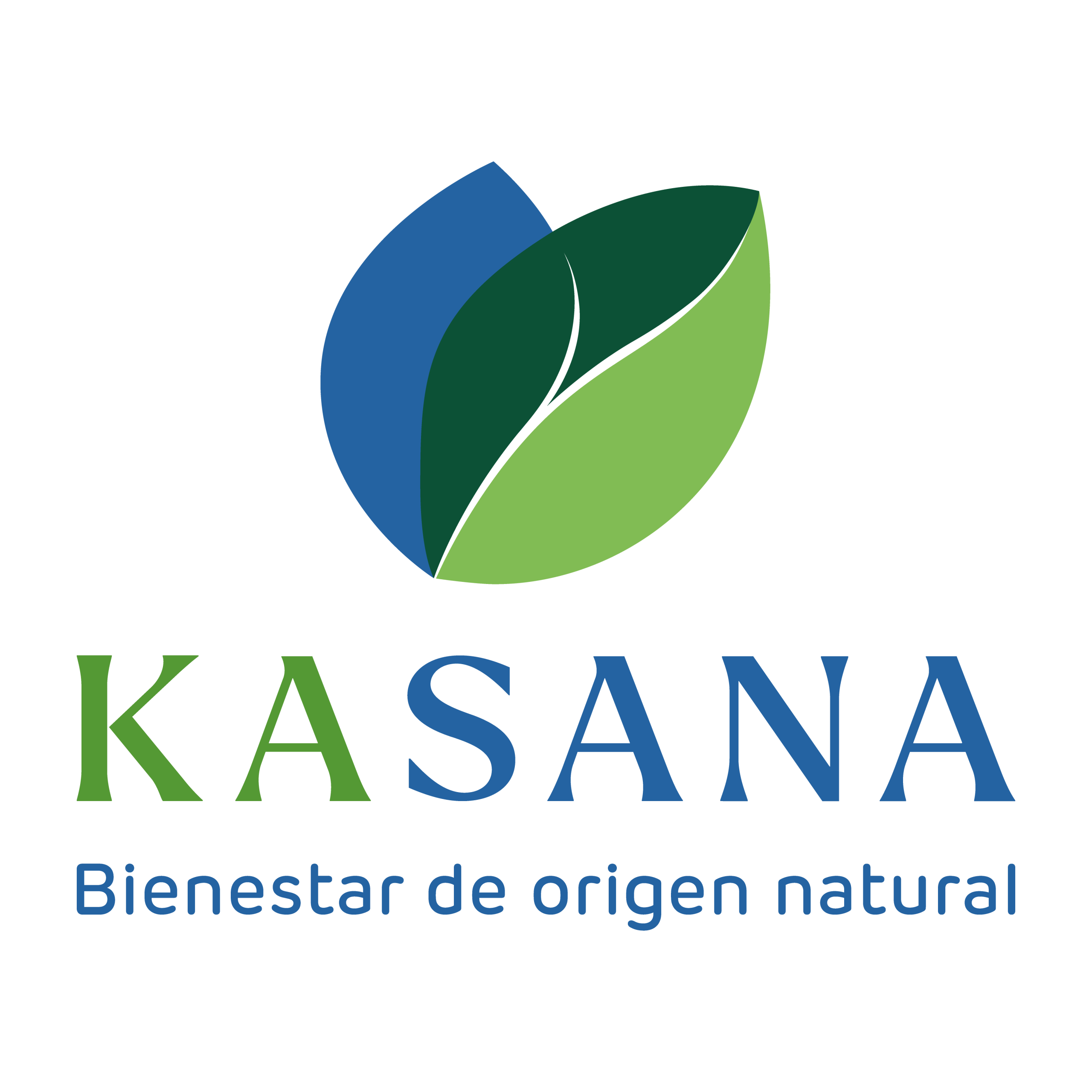 Kasanacorp